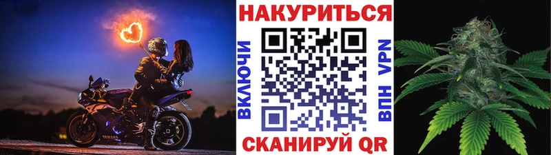 Купить  Тбилисская  Каннабис гибрид 
